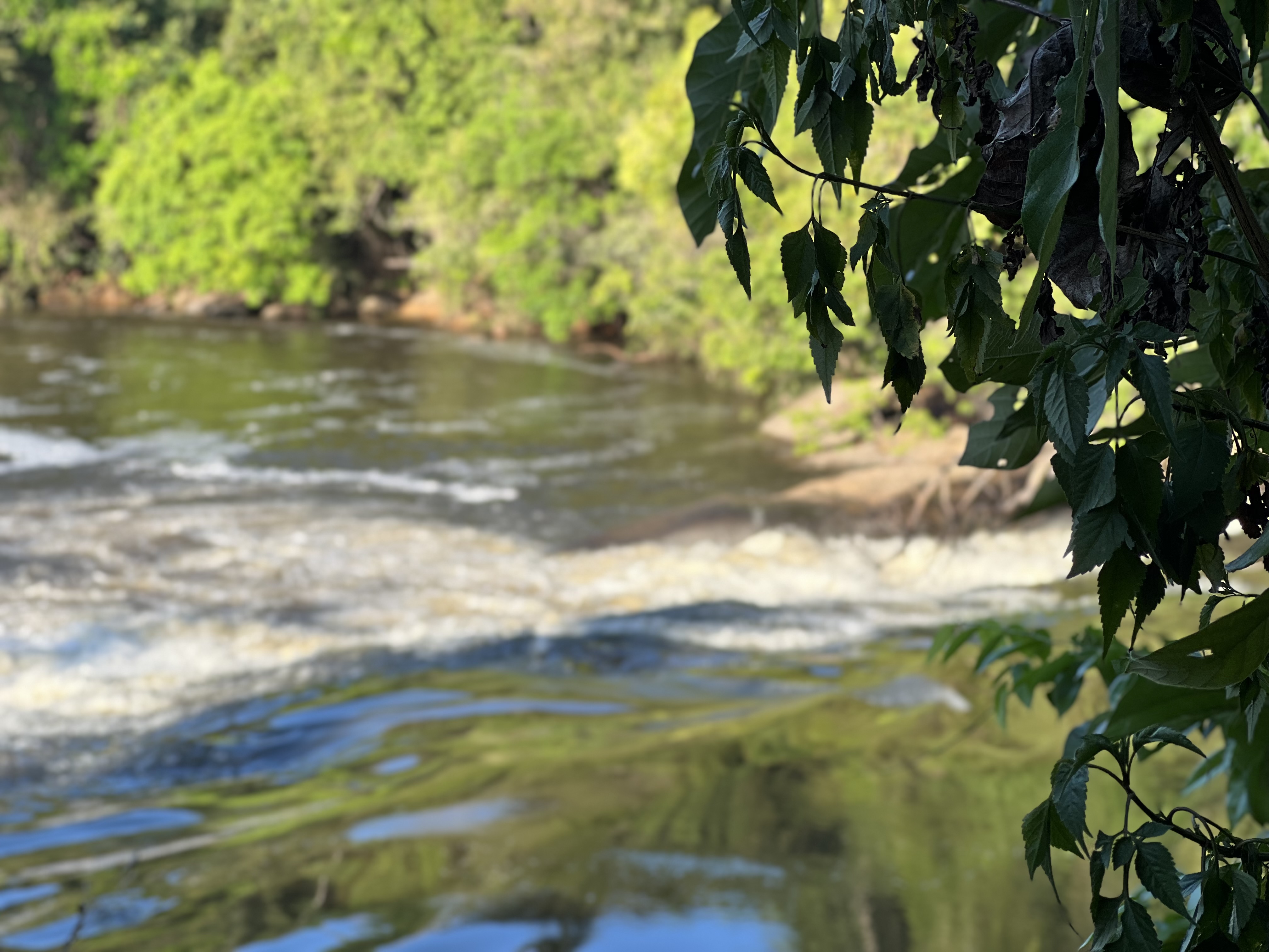 Balneário Rio Preto: o melhor destino de lazer perto de Porto Velho